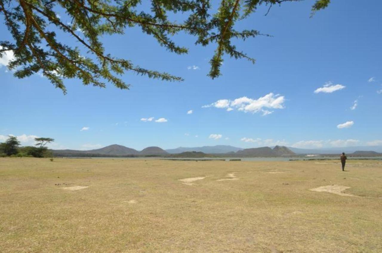 伊莱门蒂塔雅卡兰达拉克山林小屋 Gilgil 外观 照片